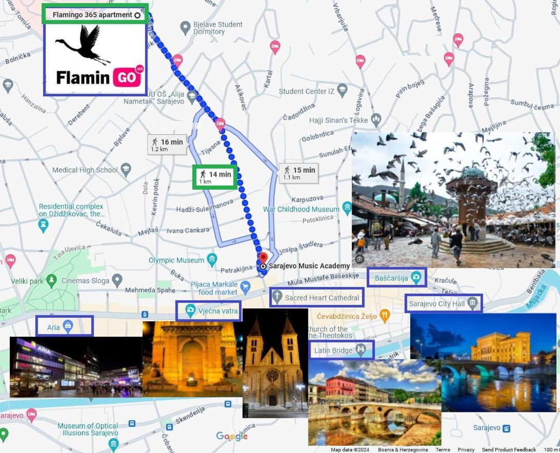 Flamingo 365 - Near City Center With Free Parking SJJ Buitenkant foto
